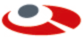 rundes grau rotes internetwarriors Logo